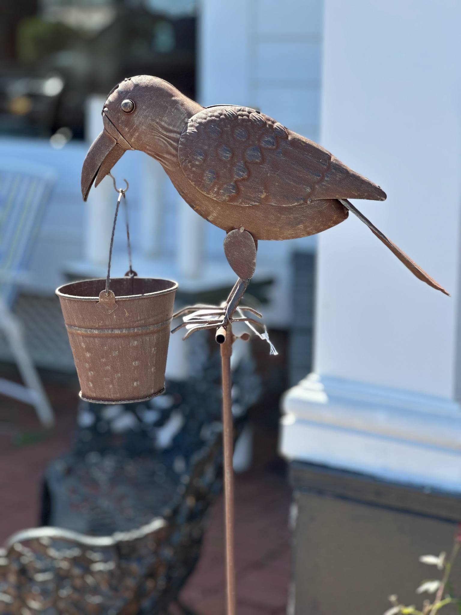 Outside Bird Display